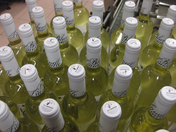 Archivo - Arxiu - Imatge de recurs de vins blancs del Peneds