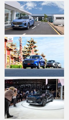 Comunicados Internacional