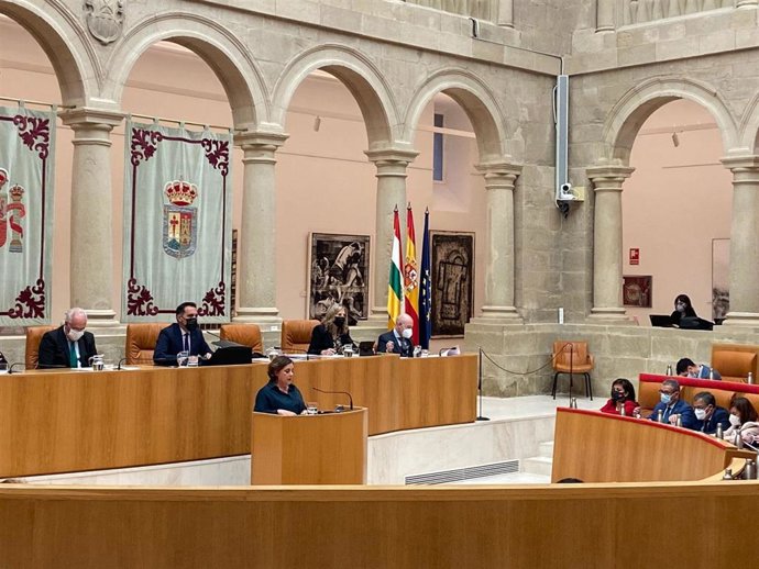 La portavoz del Grupo Mixto, Henar Moreno, se dirige a la presidenta del Gobierno, Concha Andreu