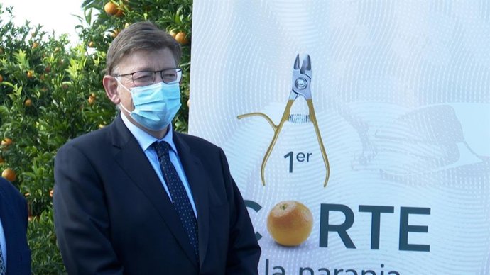 Vídeo de la noticia