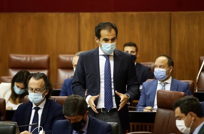 El portavoz del PP, José Antonio Nieto, este jueves en su pregunta al presidente de la Junta, Juanma Moreno, en el Pleno del Parlamento.
