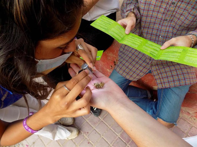 Intervención de mediadores Controla Club