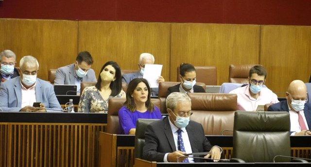 La portavoz parlamentaria del PSOE-A, Ángeles Férriz, en el Pleno del Parlamento andaluz.