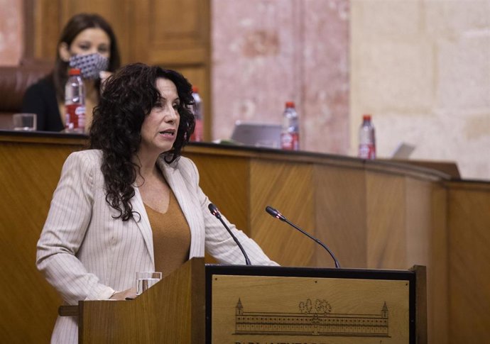 La consejera de Igualda, Politicas Sociales y Conciliación, Rocío Ruiz