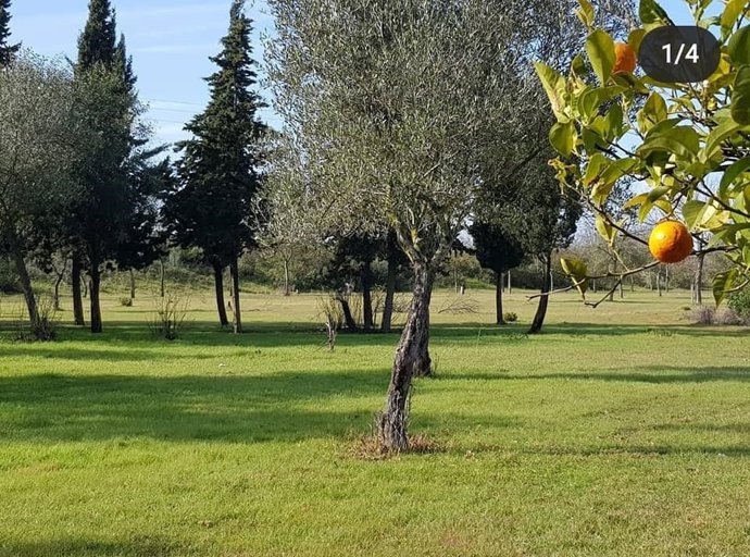 Ampliación del Parque de las Marismas de Los Palacios (Sevilla)