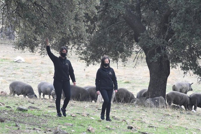 Las hermanas Torralbo Cepas.