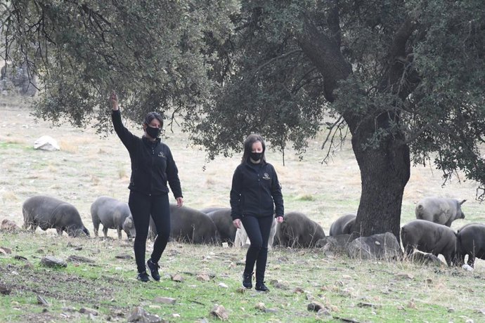 Las hermanas Torralbo Cepas.