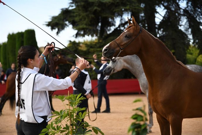 Campeonato Nacional de Caballos Árabes.