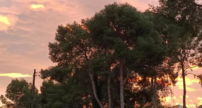 Archivo - Amanecer en Valncia