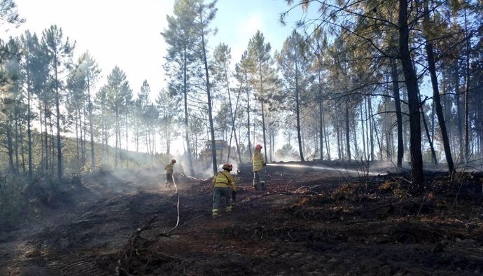 Efectivos del Infoex realizan labores de remate en un incendio forestal.