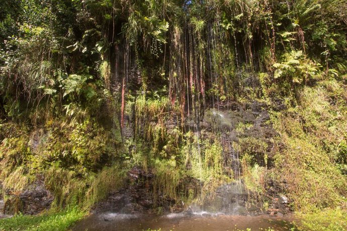 Caída de agua en la aldea de Baldomir, en los montes de la Sierra do Courel, en Lugo, Galicia (España), a 22 de septiembre de 2021, en Lugo, Galicia (España). Este miércoles a las 21:21 horas comienza el otoño, una nueva estación que precede al invierno