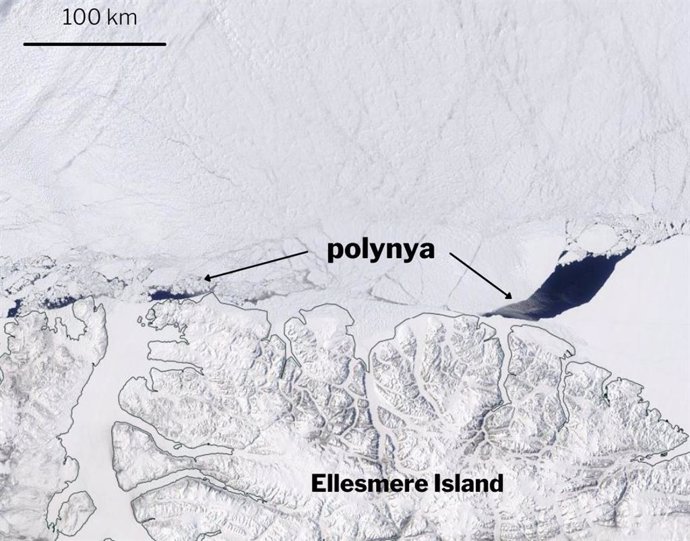 En mayo de 2020, se observó por primera vez una polinia de 3.000 kilómetros cuadrados al norte de la isla de Ellesmere. La grieta se formó en la Última Zona de Hielo, que se espera sea el último bastión de hielo marino en el Ártico que se calienta.