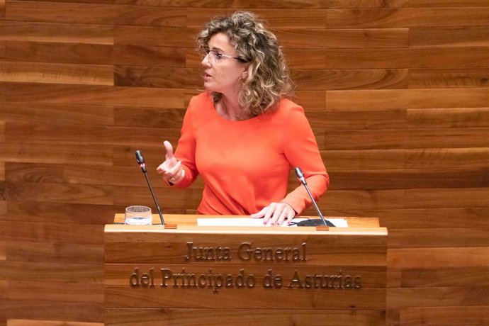 La portavoz de Ciudadanos en la Junta General, Susana Fernández.