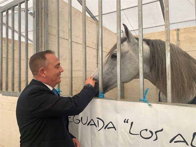 El director general de Ganadería, Francisco Espejo, durante su visita a la Feria del Caballo de Lorca.
