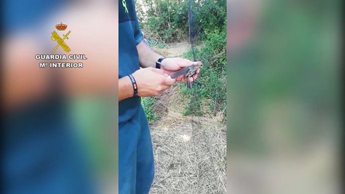 Operación del Servicio de Protección de la Naturaleza (Seprona) de la Guardia Civil en Lucena.