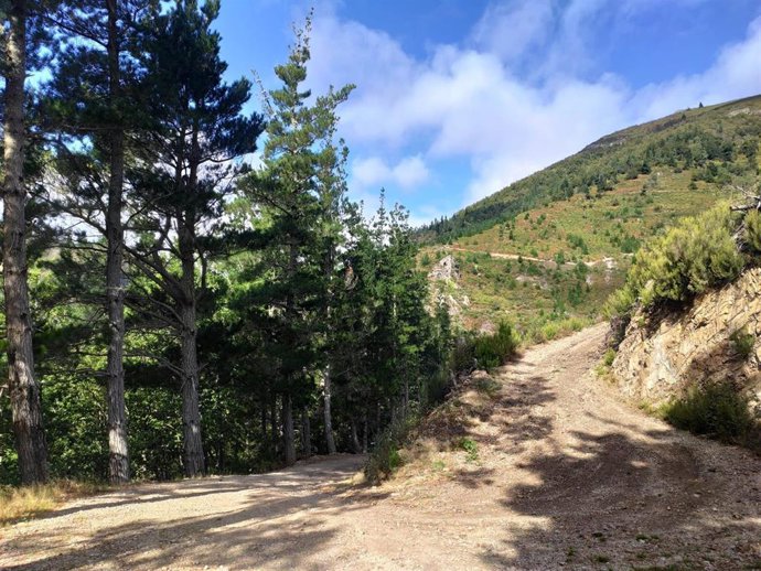 Ruta de senderismo en Pumar de las Montañas, en Cangas del Narcea.