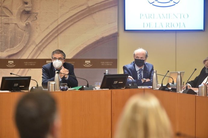 Comparecencia parlamentaria del consejero Pablo Rubio