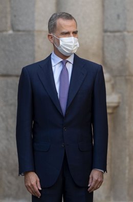 El Rey Felipe VI