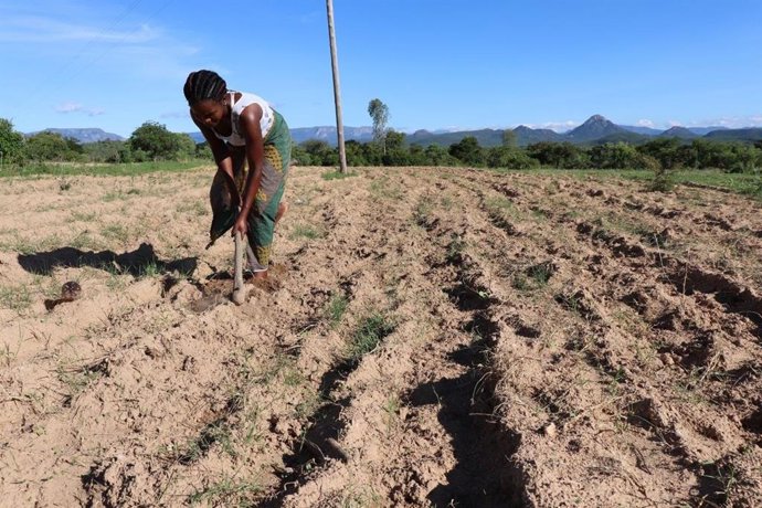 Agricultora afectada por la sequía en África.