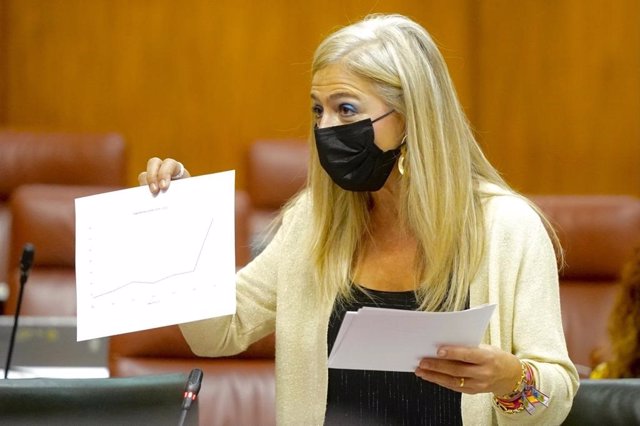 La consejera de Cultura y Patrimonio Histórico, Patricia del Pozo, en una foto de archivo en el Pleno del Parlamento.