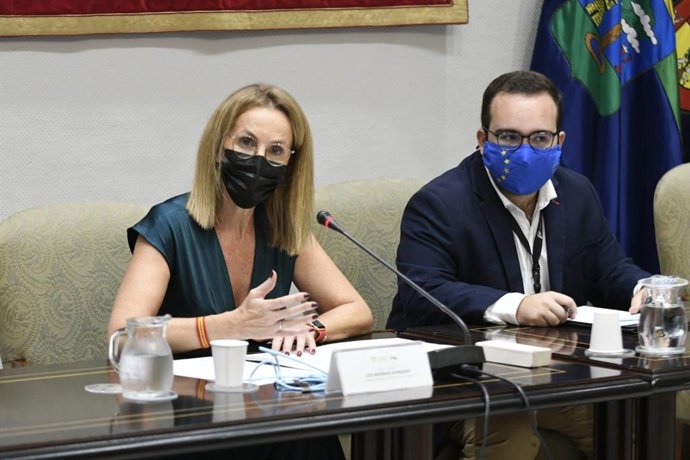 La secretaria segunda del Parlamento de Canarias, Luz Reverón