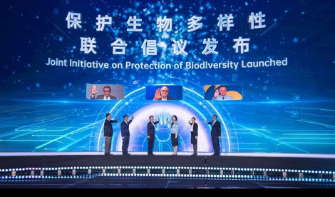 Comunicados Internacional