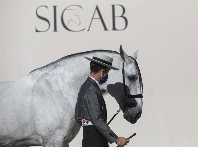 Archivo - Imagen de archivo del Sicab, en Fibes, en Sevilla.