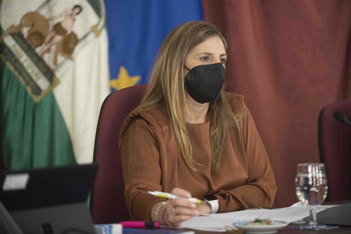 Irene García presidiendo el Pleno de la Diputación del mes de octubre.