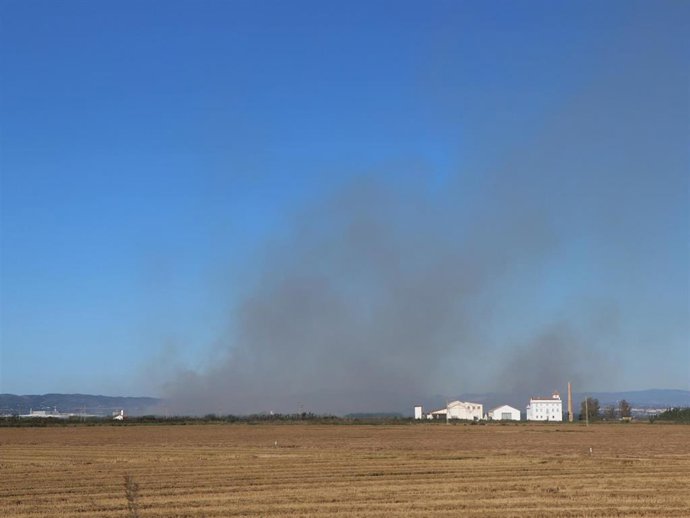 Archivo - Quema de la paja de arroz
