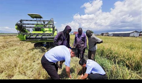 Comunicados Internacional