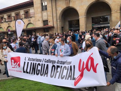 Zapico (IU) dice que el éxito de la manifestación por la oficialidad supone  el 