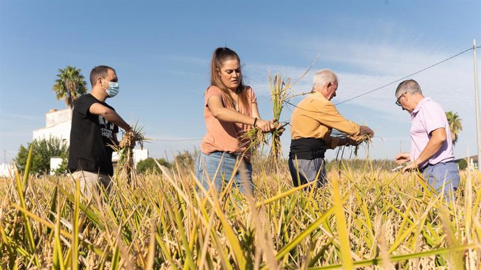 INICIATIVA DE ARROCEROS POR UN DÍA