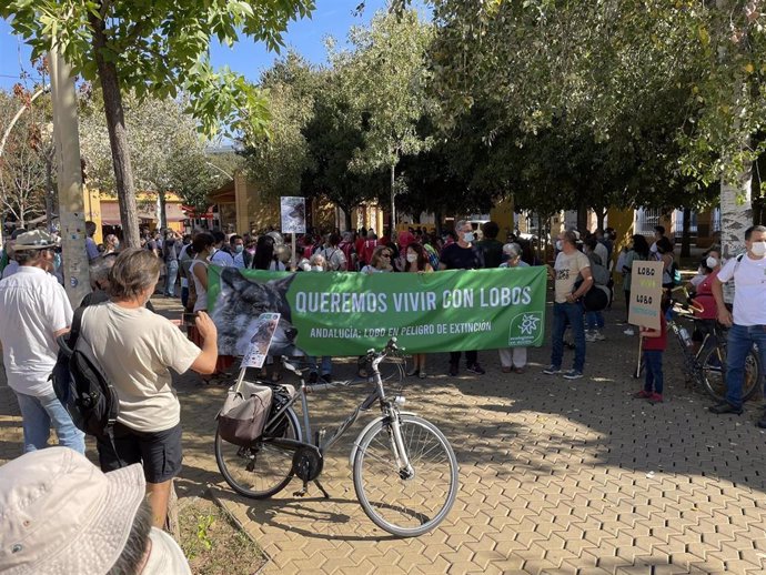 Movilización en Sevilla en defensa del lobo ibérico