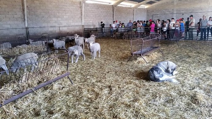 Los Encuentros en el Medio Natural para jóvenes de la provincia vuelven al Huerto Ramírez