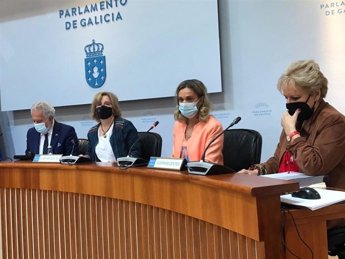 Archivo - La Valedora do Pobo, Dolores Fernández Galiño, en su comparecencia en la Comisión de Peticións para presentar el informe de actividad del año 2020