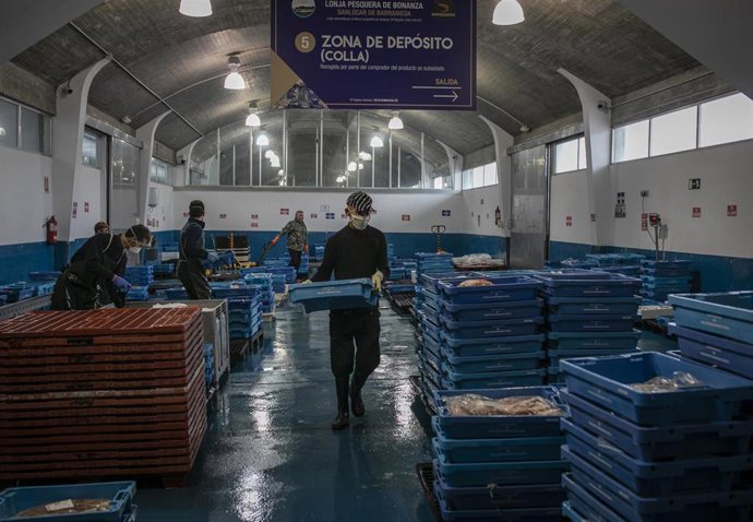 Archivo - Trabajadores de la lonja en el Puerto de Bonanza, Sanlúcar de Barrameda.