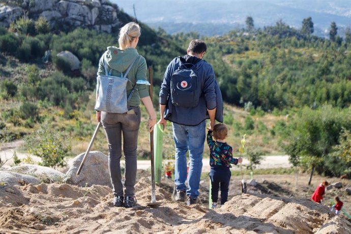 Una familia participa en la plantación de árboles autóctonos, en el marco del cuarto aniversario de la ola de incendios que Galicia sufrió en 2017