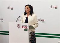 PSOE-A dice que no están ahora "en las encuestas" y sí pendientes de "sacar unos presupuestos" en España y Andalucía