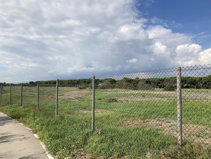 Vista del antiguo campo de golf de El Prat de Llobregat (Barcelona), que pertenece al corredor ambiental del Delta del Llobregat.