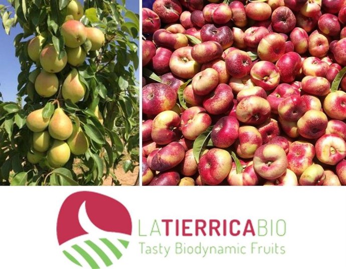 FRUTAS GARCÍA VARGAS, S.L.U. 