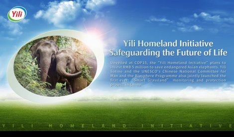 Comunicados Internacional