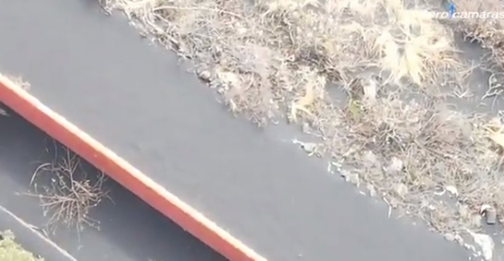 Zona en donde se encuntraban los perros atrapados