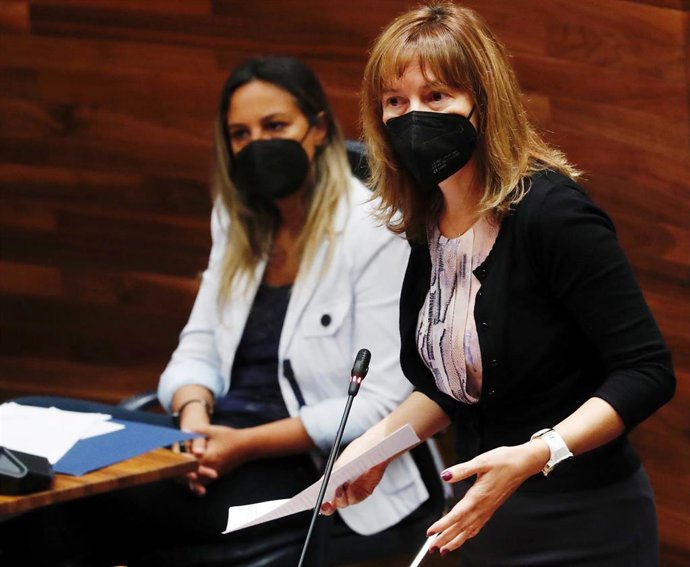 La consejera de Hacienda, Ana Cárcaba, en el Pleno de la Junta General.