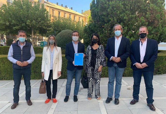 Grupo de diputados provinciales del PP con las propuestas para el debate sobre el estado de la provincia
