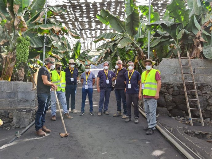Técnicos del Cabildo de Tenerife forman a agricultores de La Palma en agua desalada