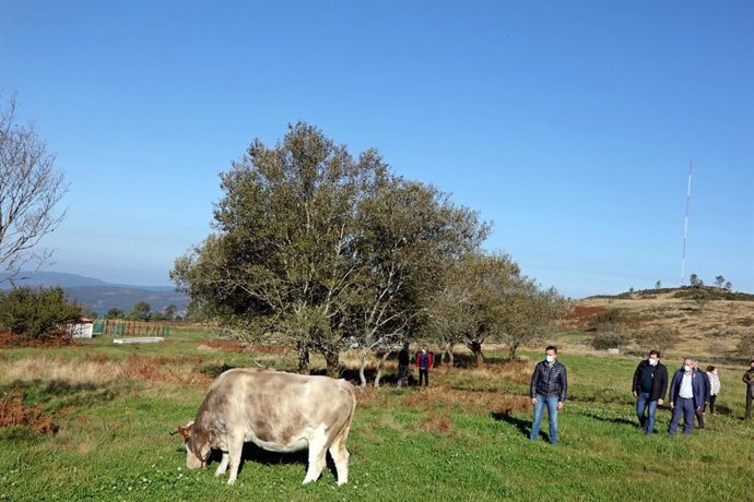 El conselleiro de Medio Rural, José González, en una visita a Cerdedo-Cotobade (Pontevedra)