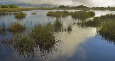 Medio Ambiente