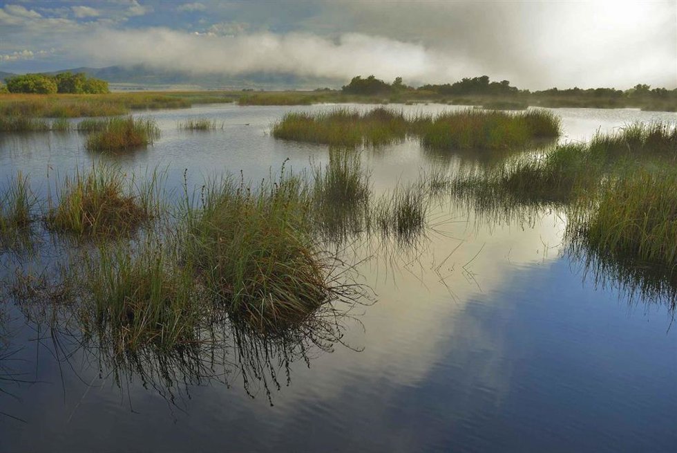 Archivo - Parque Nacional de las Tablas de Daimiel
