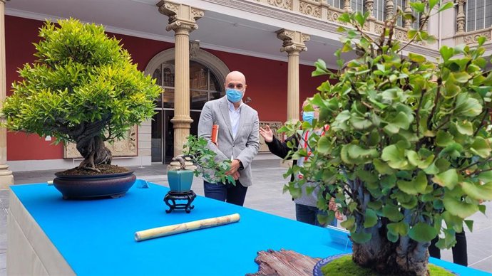El director general de Cultura del Gobierno de Aragón, Víctor Lucea, durante su visita a la exposición de bonsáis