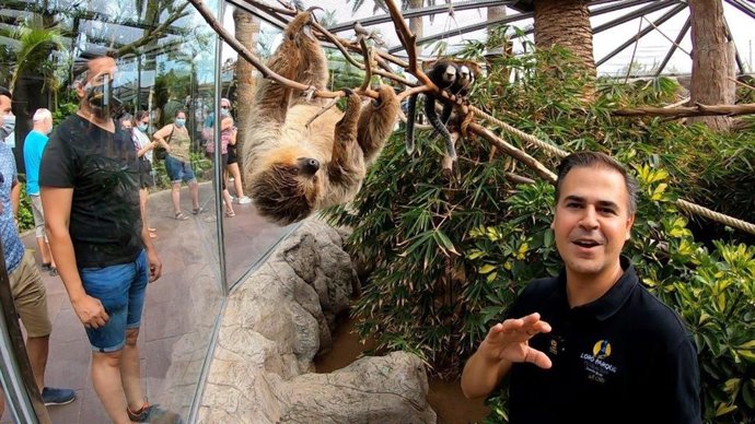 Loro Parque conmemora el Día Internacional del Perezoso